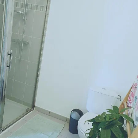 In ホームステイ ボルドー